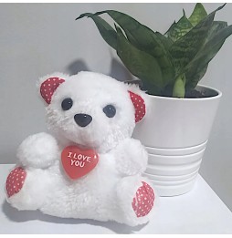 Ursuleț de pluș cu inimă I love you
