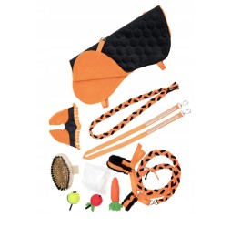 Set accesorii hobby horse A4 - 11 piese