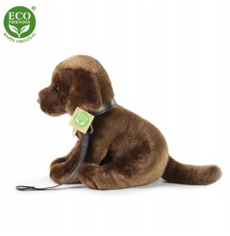 Plusz pui de Labrador 25cm