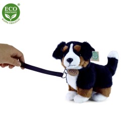 Păpușă Câine Bernardin Ecologic