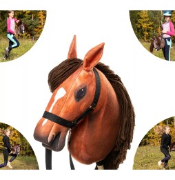 Hobby Horse Cal de Lemn Amber