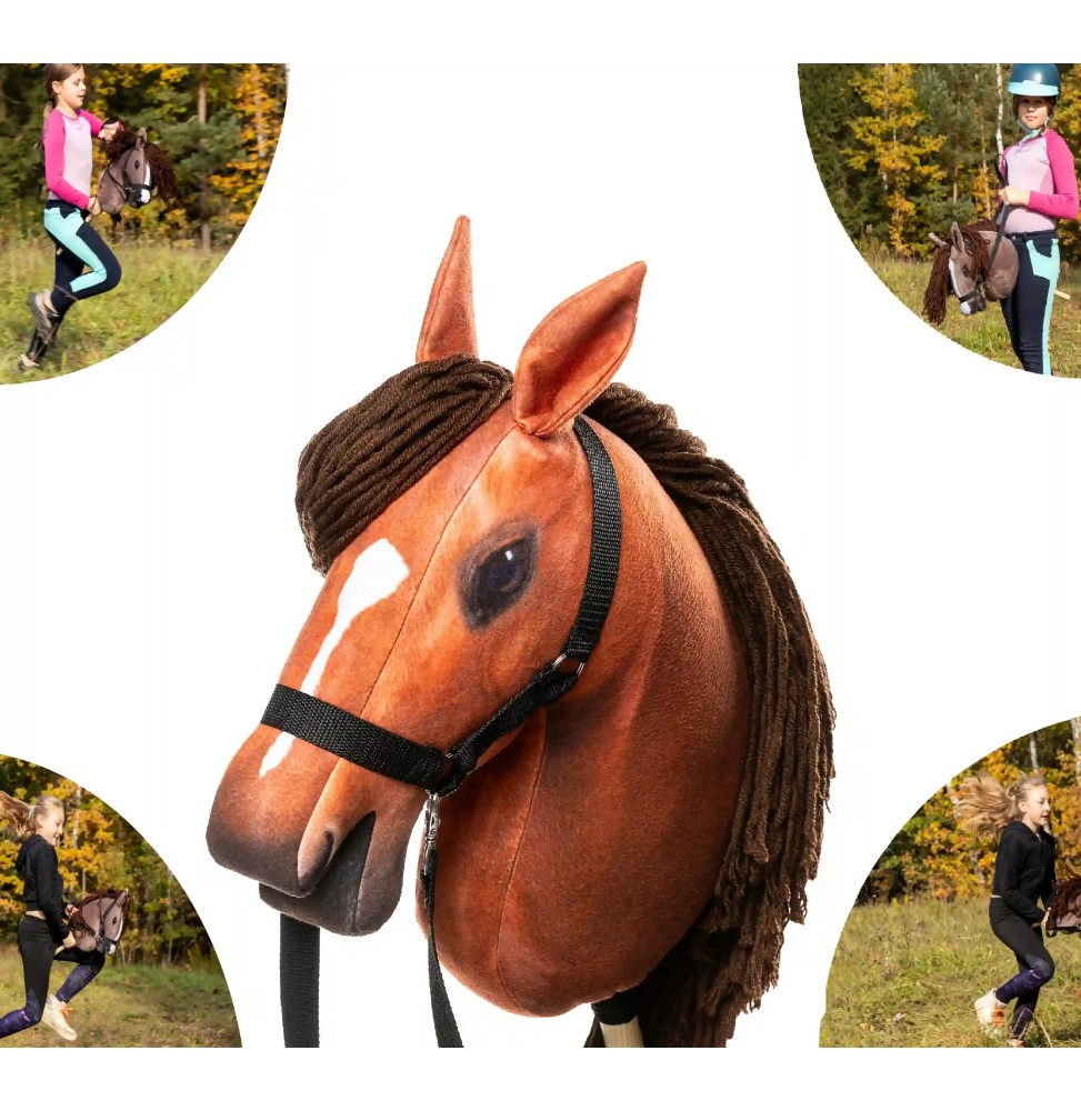 Hobby Horse Cal de Lemn Amber Hobby Horse Cal de Lemn Amber