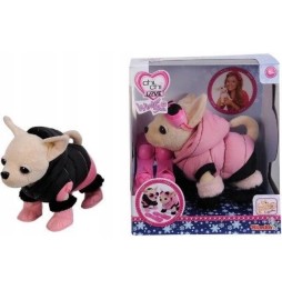 Chi Chi Love cățel Chihuahua pe schiuri