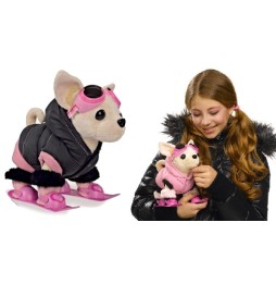 Chi Chi Love cățel Chihuahua pe schiuri