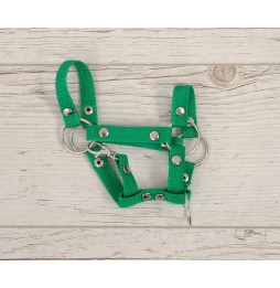 Zăbala Hobby Horse A4 verde