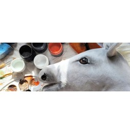 Cavalo hobby A4 premium cal pe băț