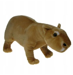 Capibara jucărie 54cm de la Dubi