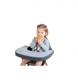 Tavă ABS pentru scaunele Childhome Evolu 2 și ONE