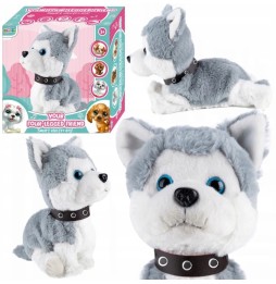Câine interactiv husky pentru copii