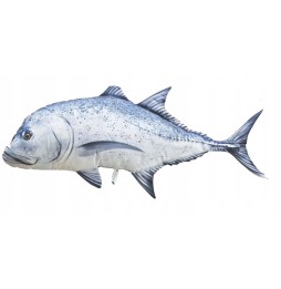 Gaby pește perna 100 cm