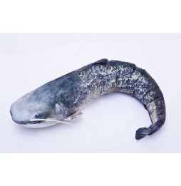 Pătură Sandacz 110 cm - Antialergică Gaby
