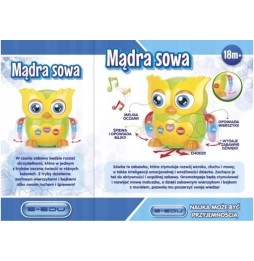 Bufnița educațională cântă și povestește