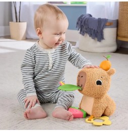 Fisher Price kapibara HYR54