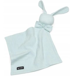 T-Tomi Bio Muslin Mint pentru bebeluși