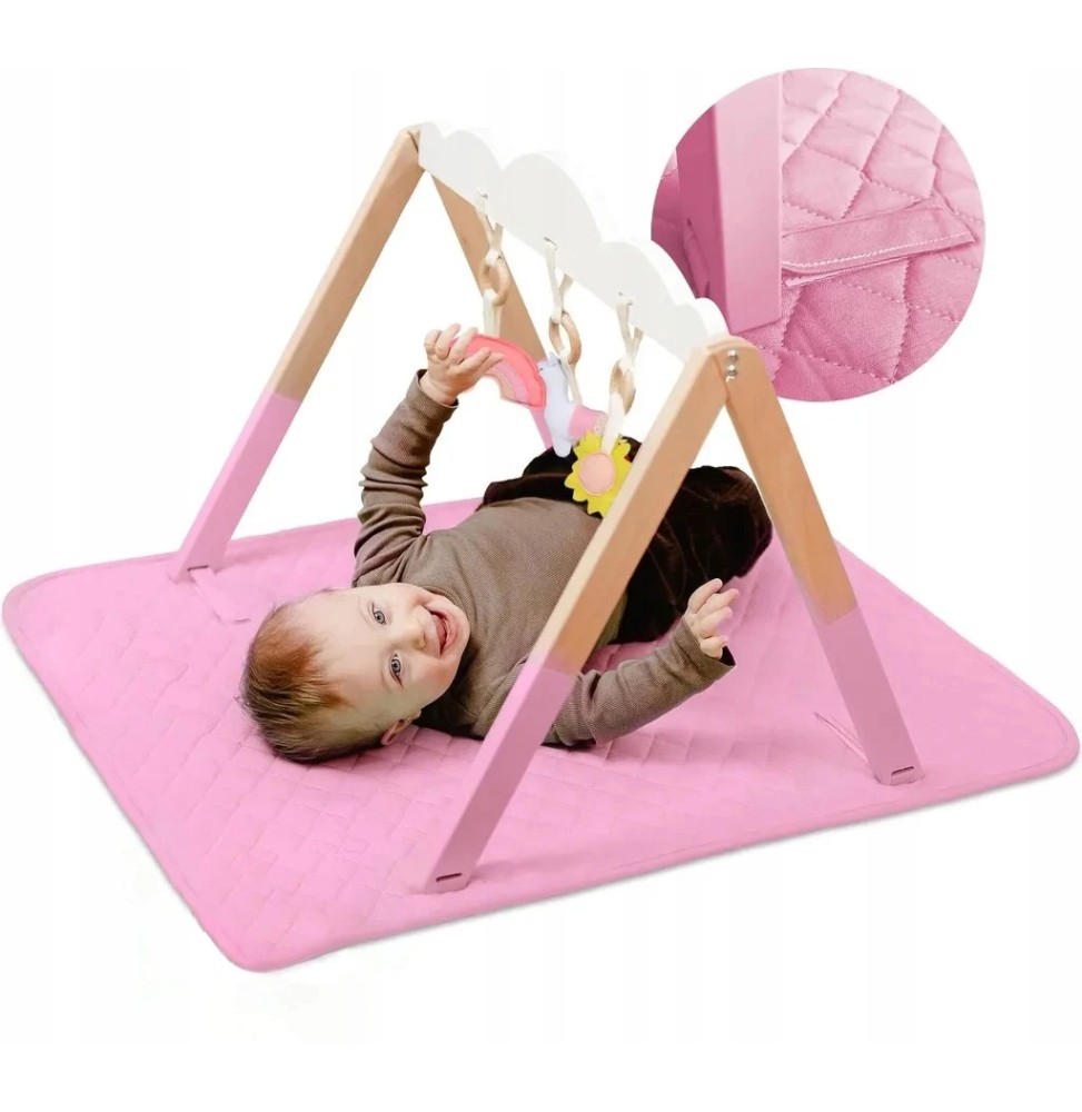 Cadrul educațional Baby Gym pentru copii