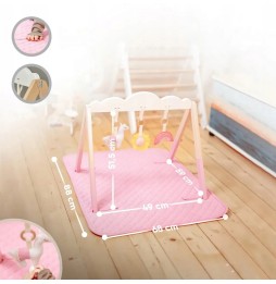 Cadrul educațional Baby Gym pentru copii
