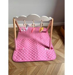 Cadrul educațional Baby Gym pentru copii