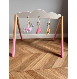 Cadrul educațional Baby Gym pentru copii