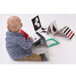 CzuCzu Starter Micuț Co văd 62312 - set educativ