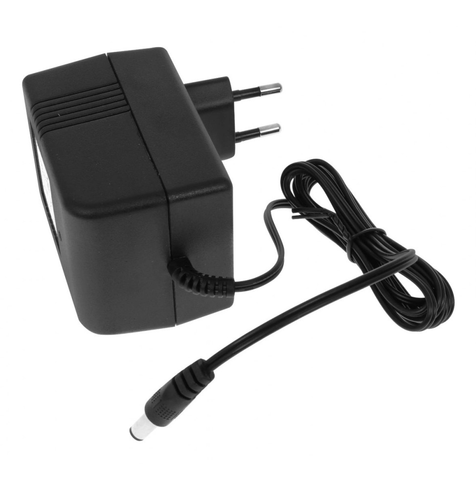 Încărcător 6v/500ma pentru vehicule electrice Încărcător 6v/500ma pentru vehicule electrice