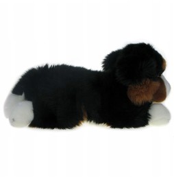 Jucărie câine ciobănesc bernese 40cm - Dubi